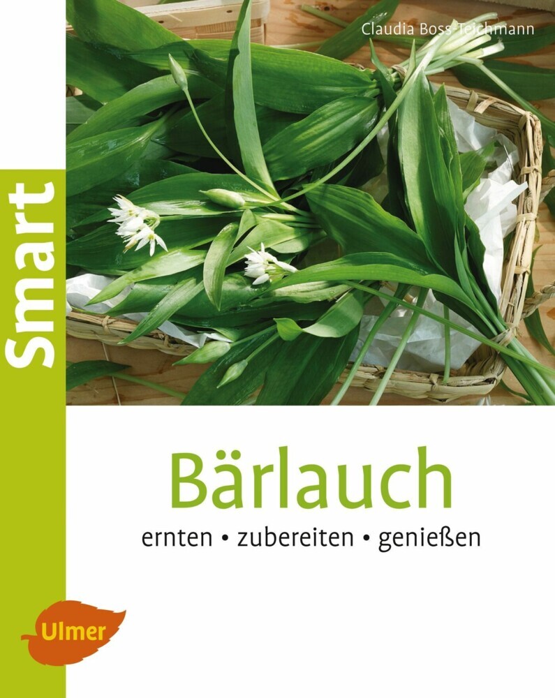 Bärlauch main product photo