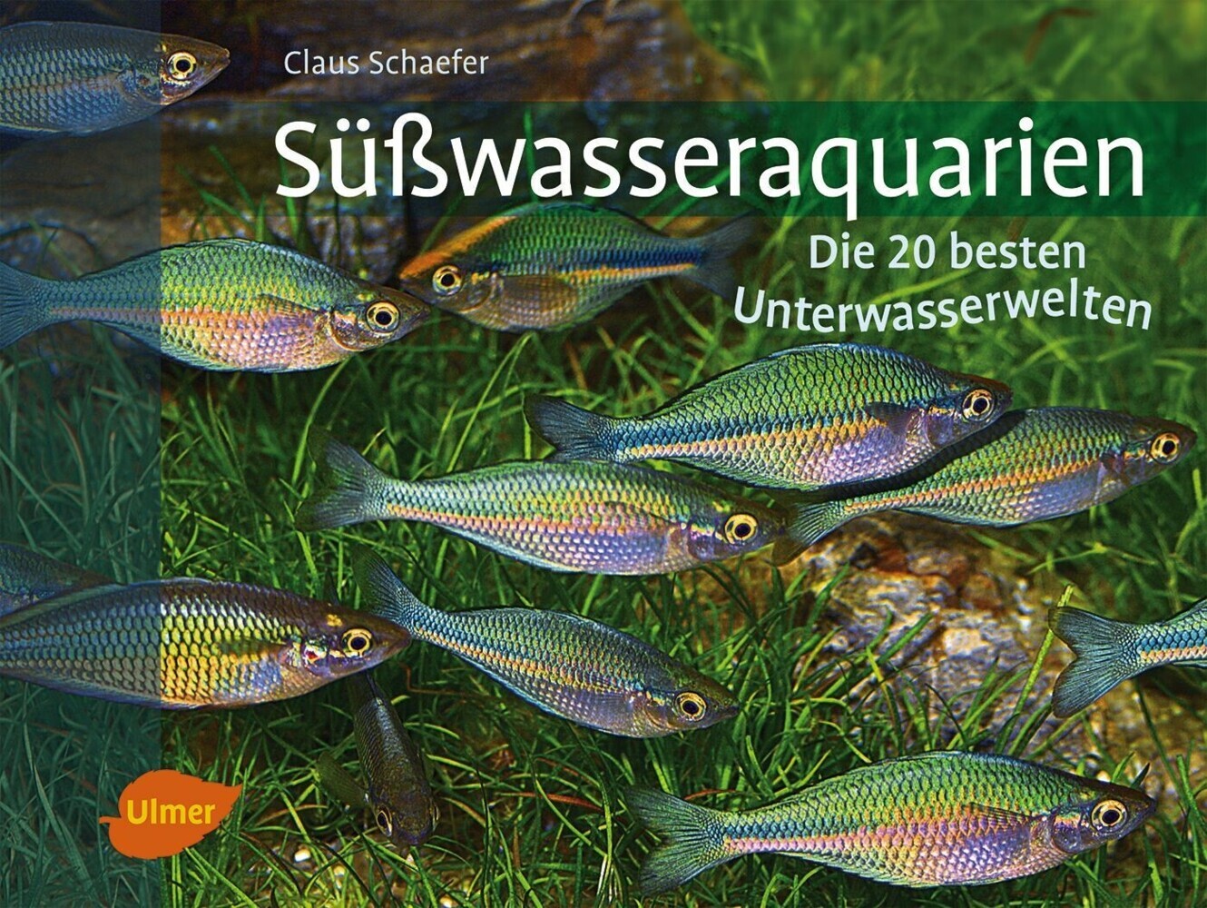 Süßwasseraquarien main product photo