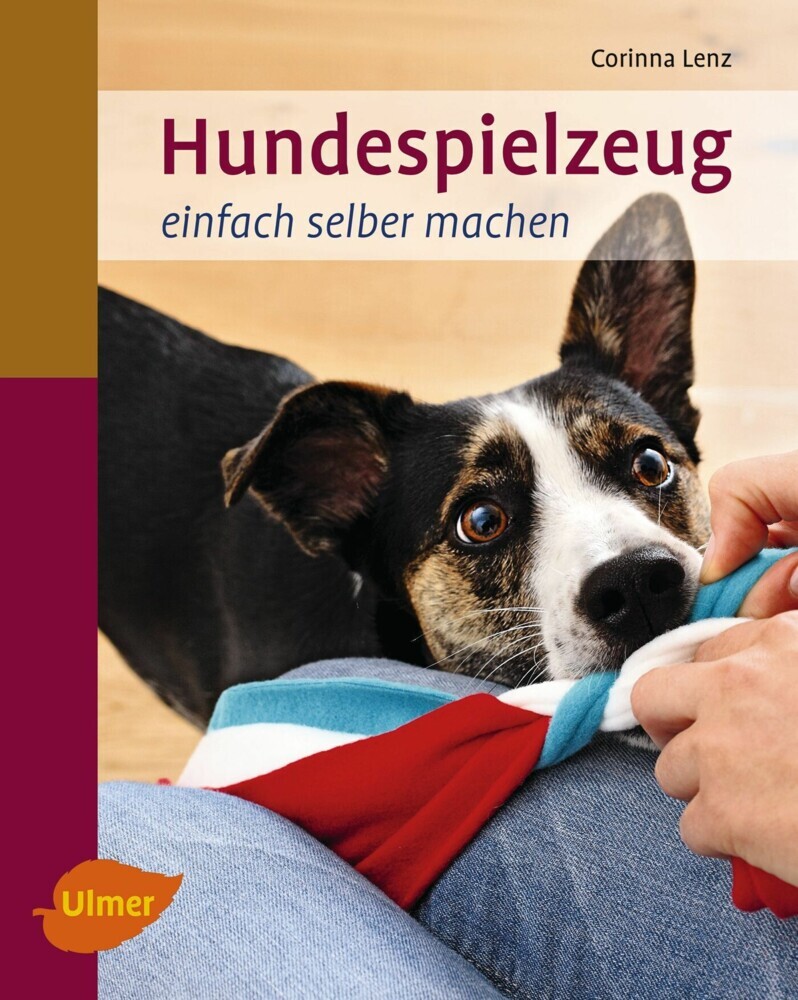 Hundespielzeug einfach selber machen main product photo