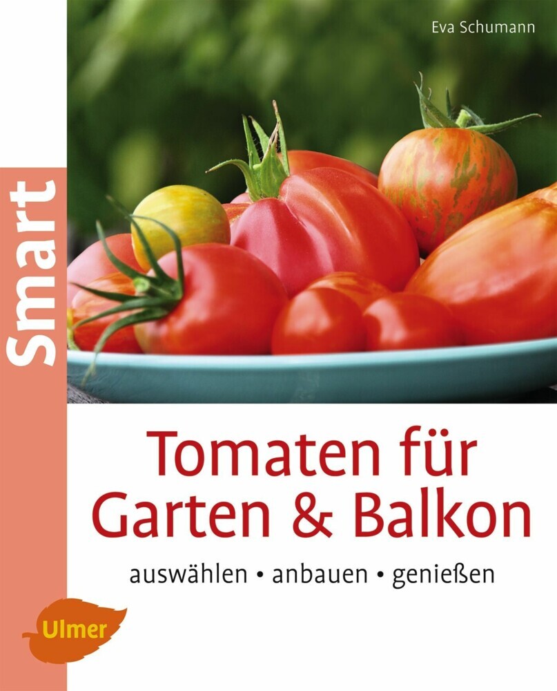 Tomaten für Garten und Balkon main product photo