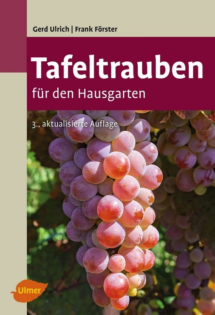 Tafeltrauben für den Hausgarten main product photo