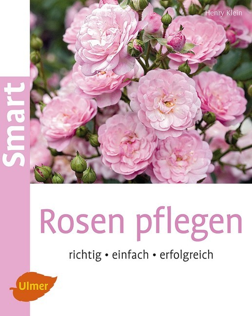 Rosen pflegen main product photo