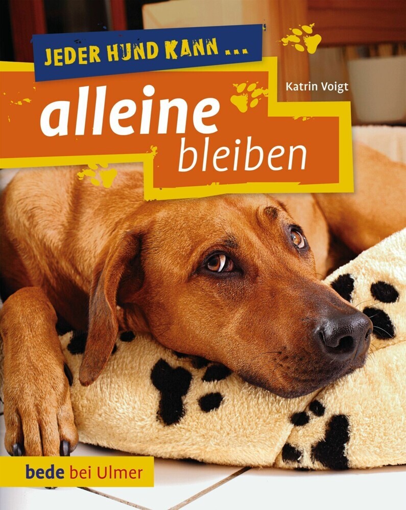 Jeder Hund kann alleine bleiben main product photo