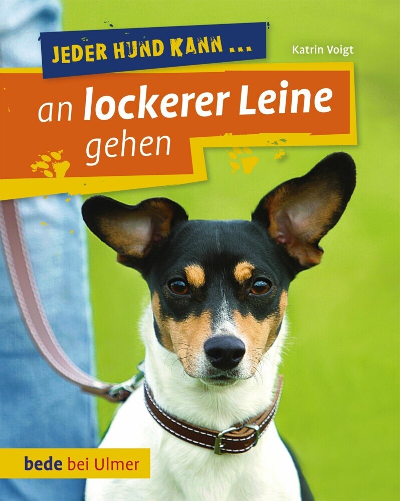 Jeder Hund kann an lockerer Leine gehen main product photo
