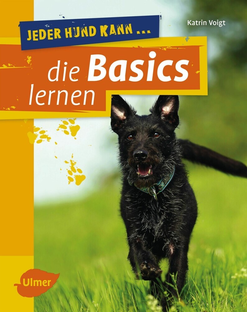 Jeder Hund kann die Basics lernen main product photo