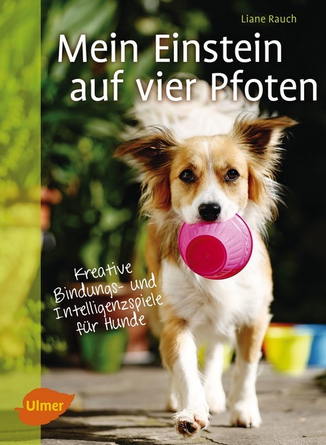 Mein Einstein auf vier Pfoten main product photo