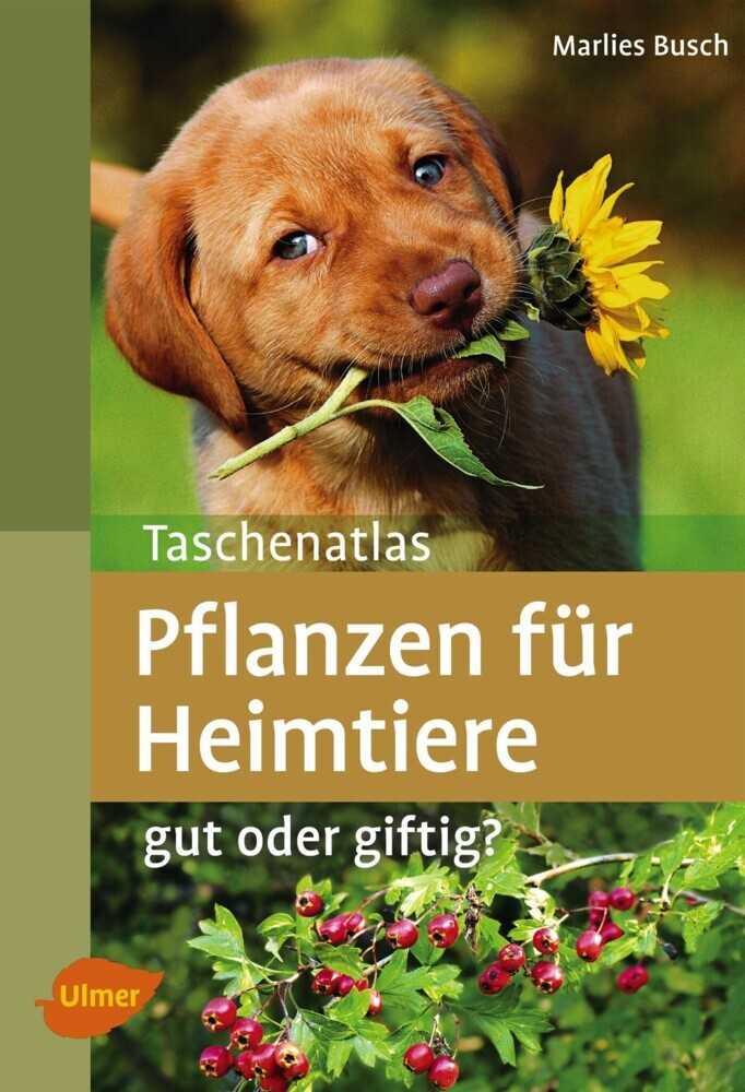 Pflanzen für Heimtiere main product photo