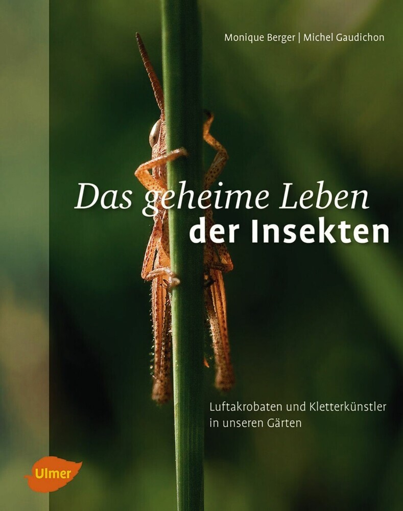 Das geheime Leben der Insekten main product photo