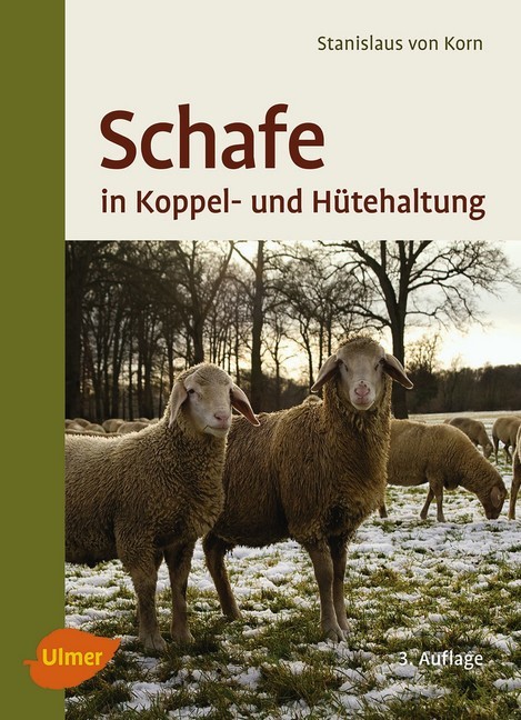 Schafe in Koppel- und Hütehaltung main product photo