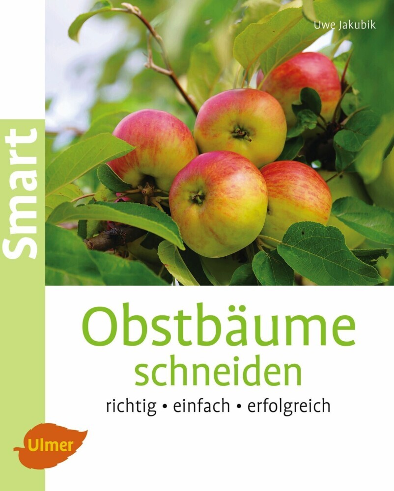 Obstbäume schneiden main product photo