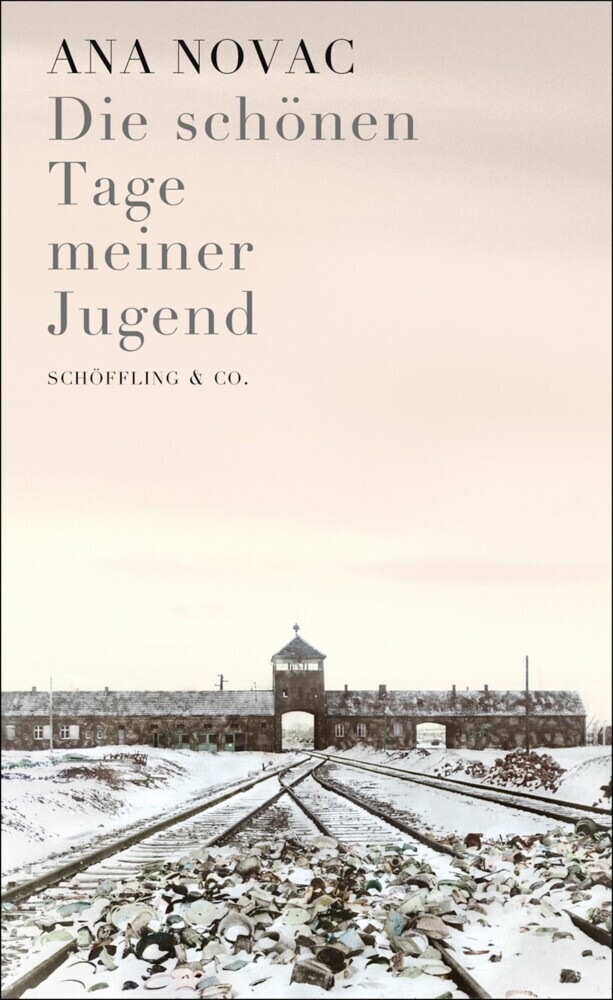 Die schönen Tage meiner Jugend main product photo