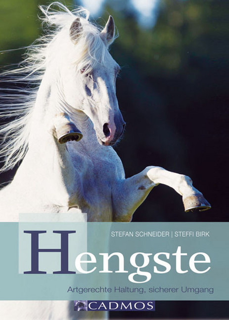 Hengste main product photo