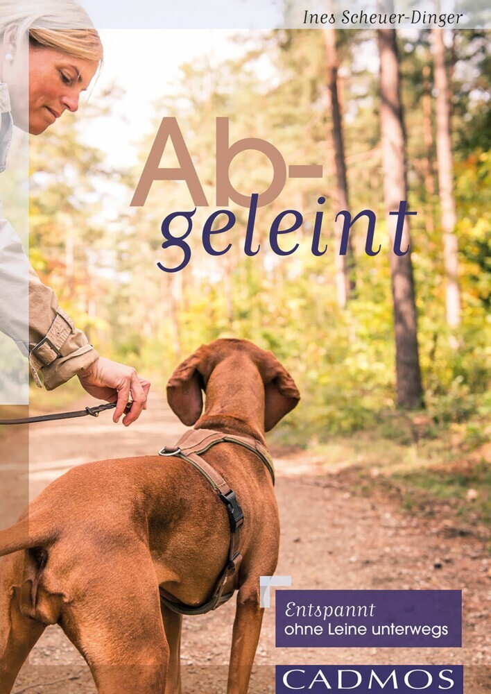 Abgeleint main product photo