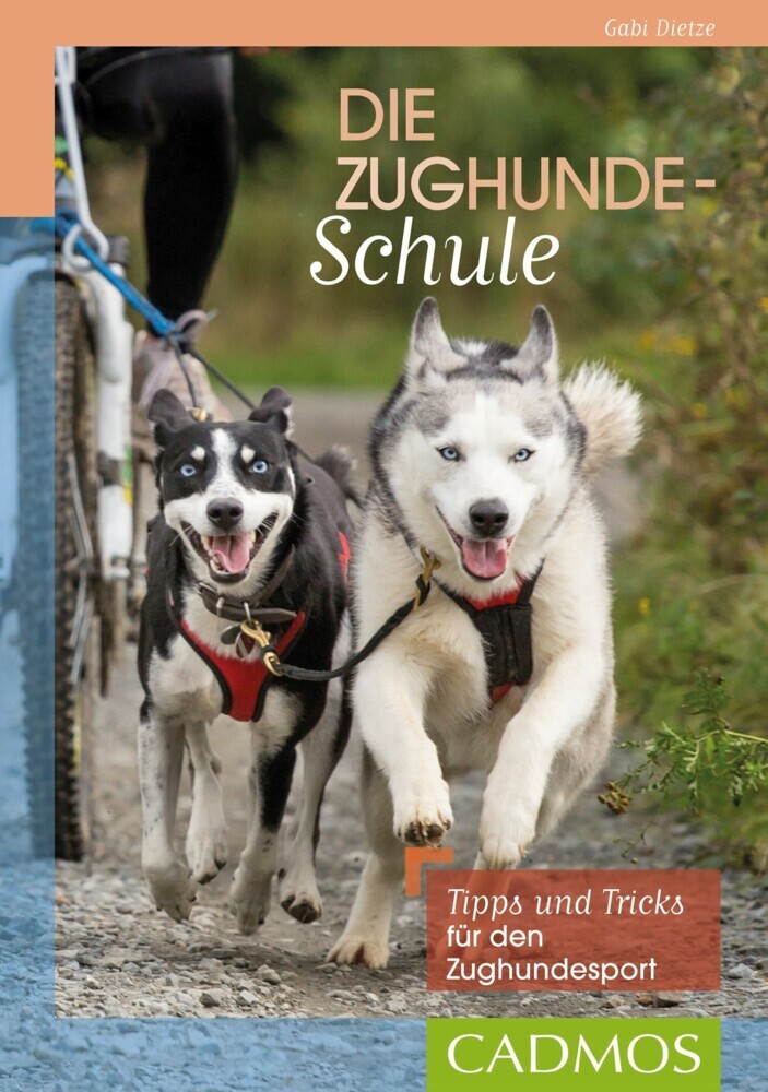 Die Zughunde-Schule main product photo