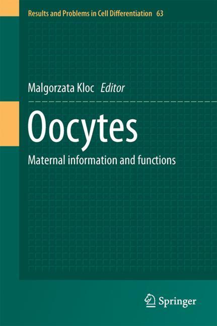 Oocytes main product photo