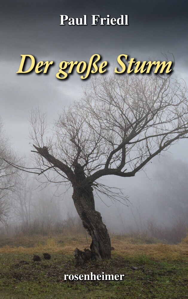 Der große Sturm main product photo