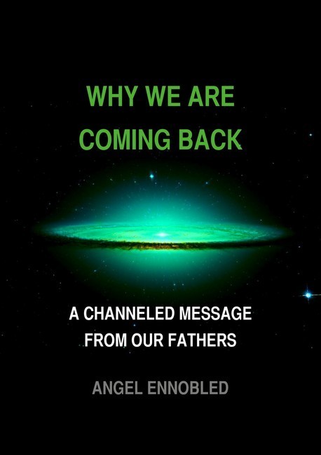Why We Are Coming Back main product photo