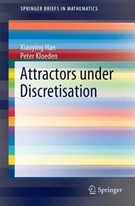 Attractors Under Discretisation