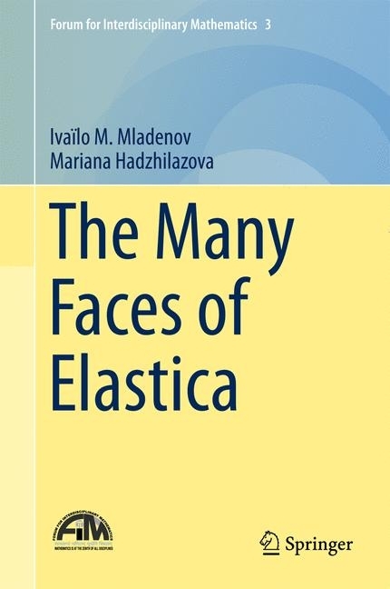 The Many Faces of Elastica main product photo