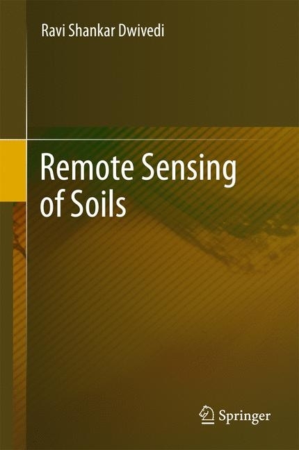 Remote Sensing of Soils main product photo