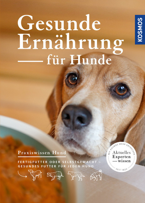 Gesunde Ernährung für Hunde main product photo