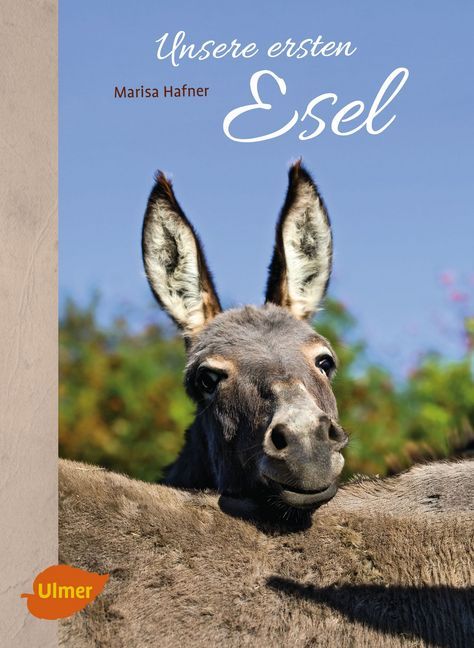 Unsere ersten Esel main product photo