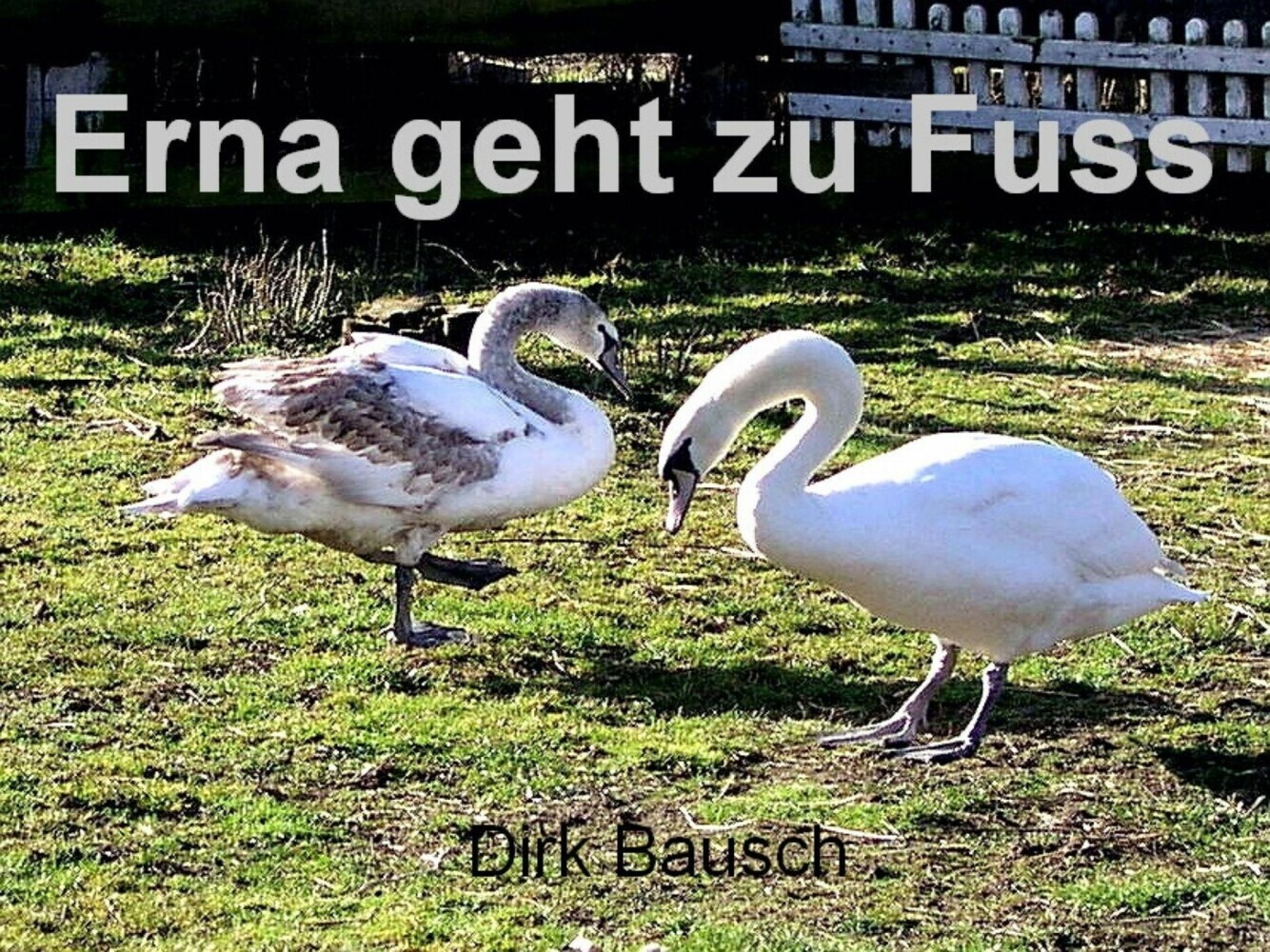 Erna geht zu Fuss main product photo