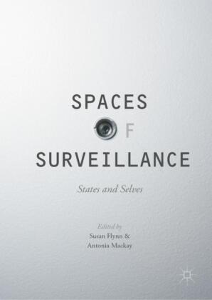 Spaces of Surveillance