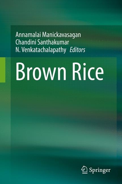 Brown Rice main product photo