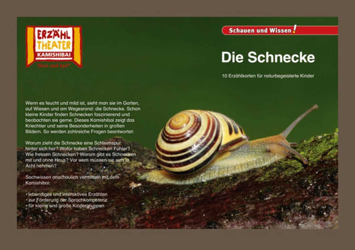 Die Schnecke / Kamishibai Bildkarten main product photo