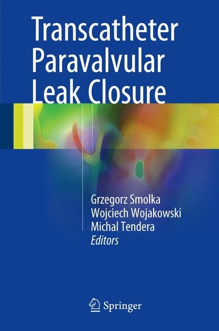 Transcatheter Paravalvular Leak Closure main product photo