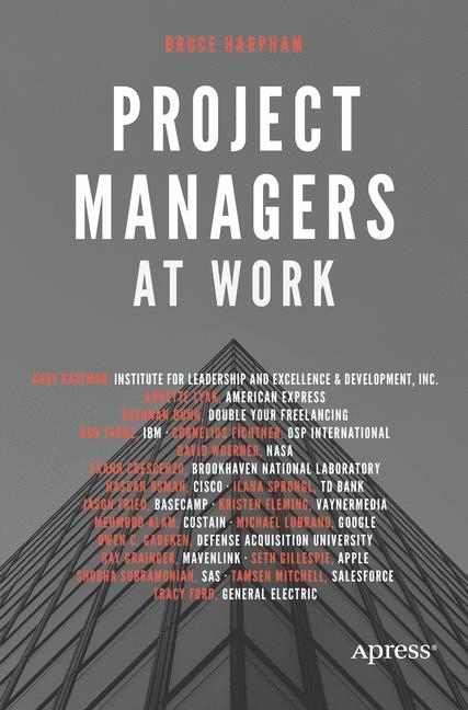 Project Managers at Work main product photo