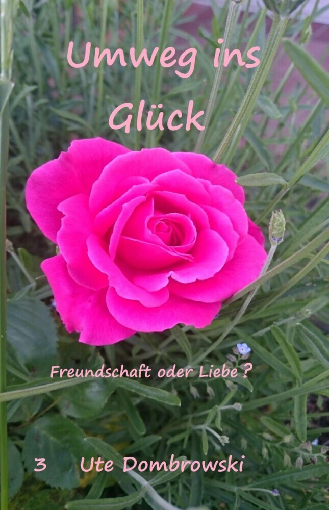 Umweg ins Glück main product photo