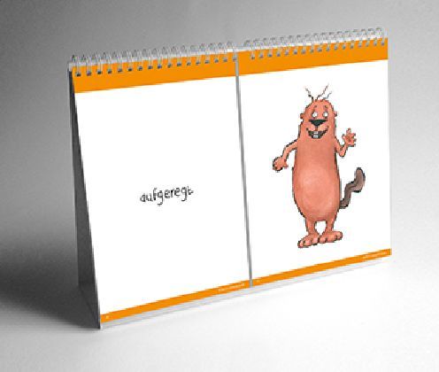 GEFÜHLEflip - Biber Bib lernt GEBÄRDEN main product photo