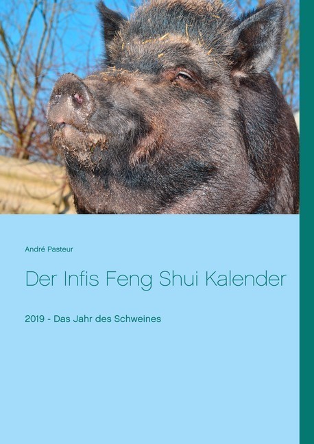 Der Infis Feng Shui Kalender main product photo