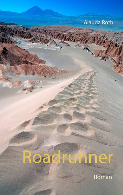 Roadrunner main product photo