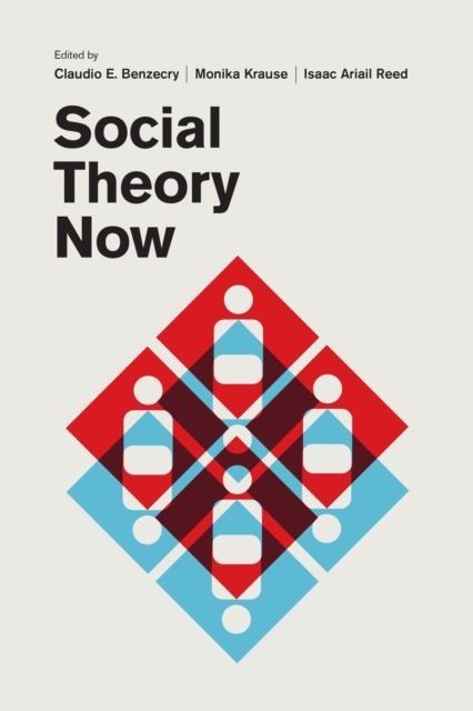 Social Theory Now main product photo