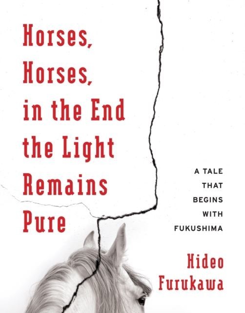 Horses, Horses, in the End the Light Remains Pure main product photo