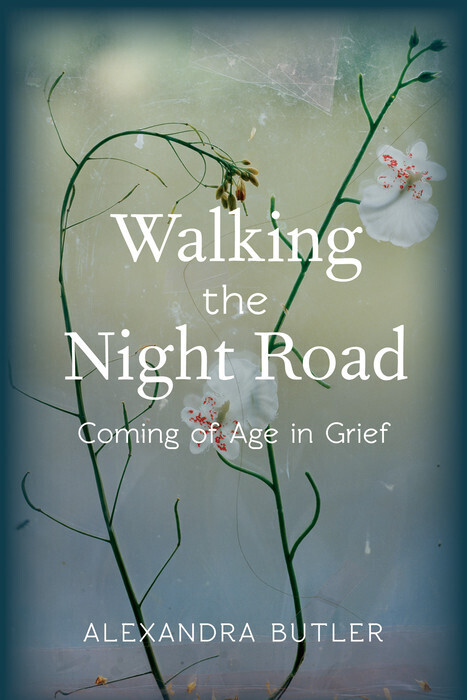 Walking the Night Road main product photo