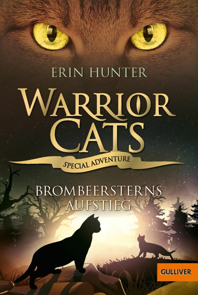 Warrior Cats - Special Adventure. Brombeersterns Aufstieg main product photo