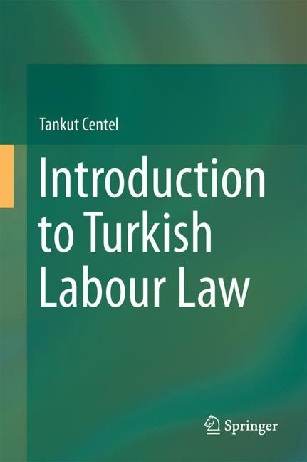 Introduction to Turkish Labour Law main product photo