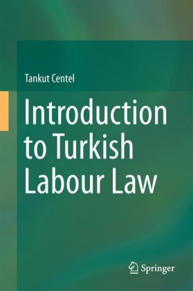Introduction to Turkish Labour Law