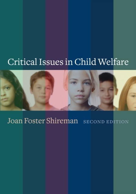 Critical Issues in Child Welfare main product photo