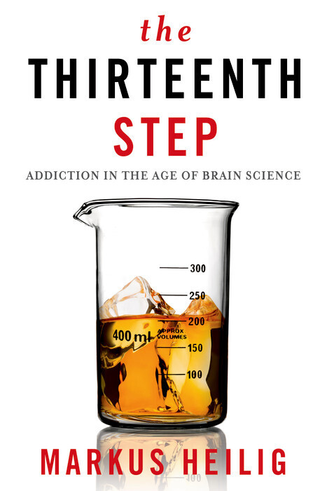 The Thirteenth Step main product photo