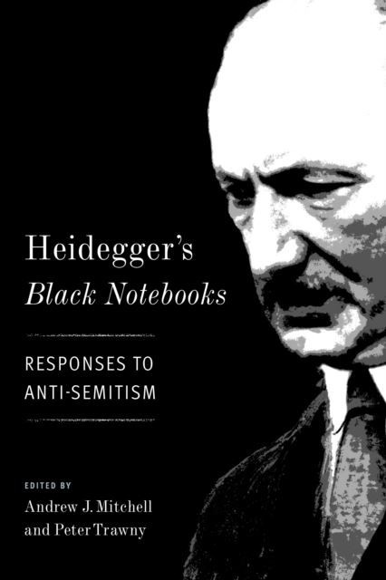 Heidegger's Black Notebooks main product photo