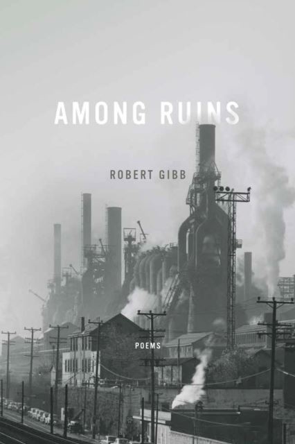 Among Ruins main product photo