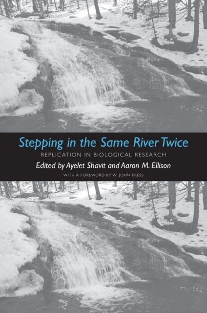 Stepping in the Same River Twice main product photo