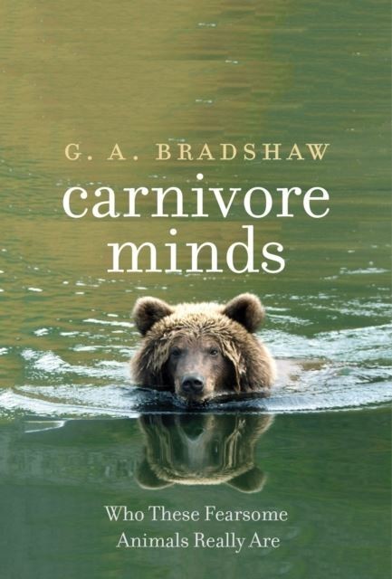 Carnivore Minds main product photo