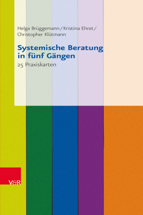 Systemische Beratung in fünf Gängen, 25 Praxiskarten