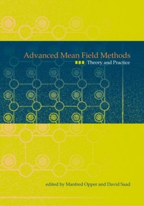Advanced Mean Field Methods